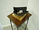 Earthnests 4