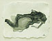 Fossils 4