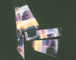 Tertium 7